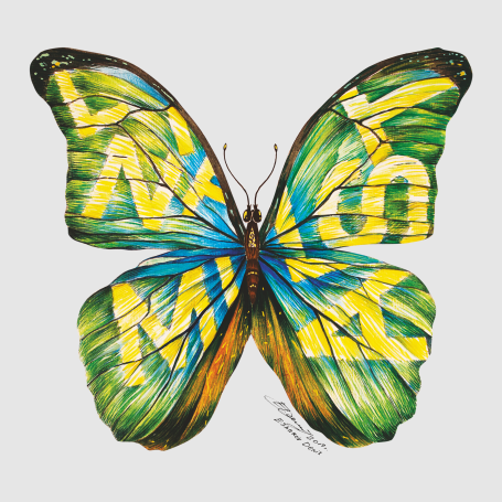 Бабочка MINIMALISTA, 8, 2, главное изображение